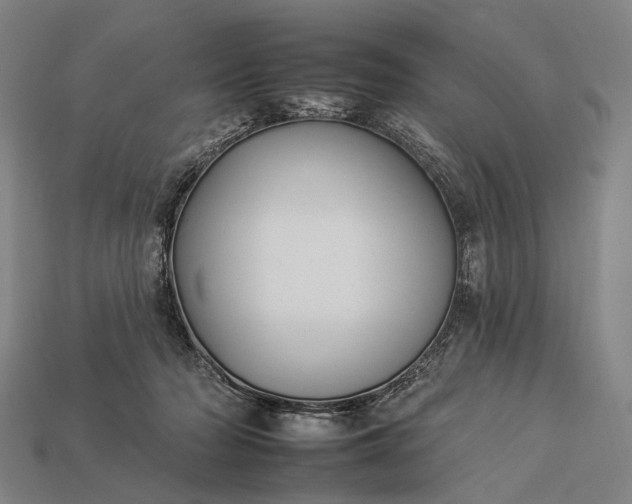 X0000112930318200909071039