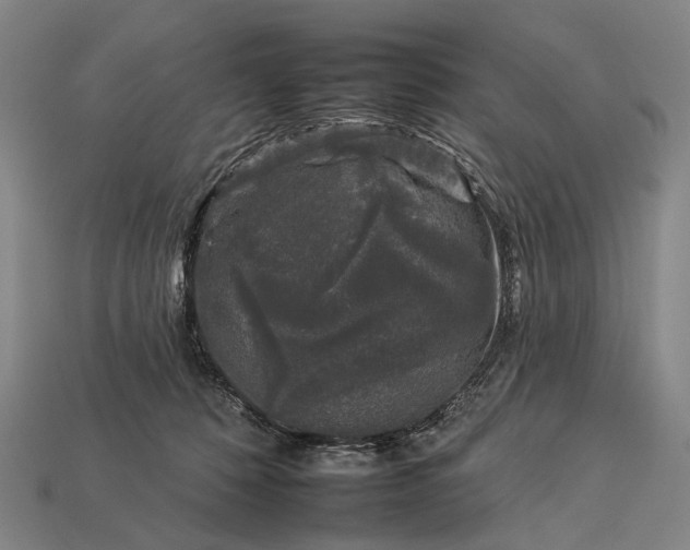 X0000112930320200909071039