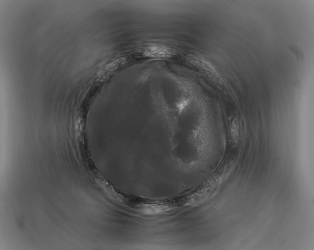 X0000112930322200909071039