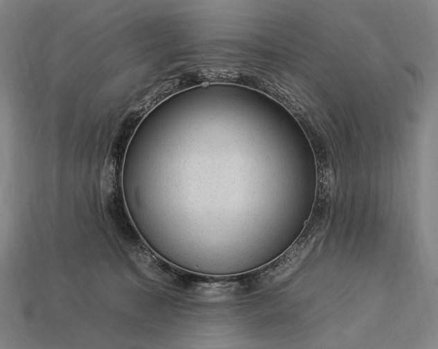 X0000112930323200909071039