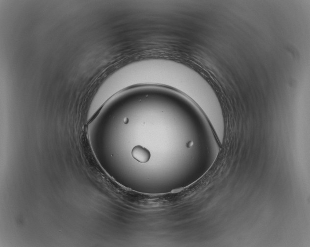 X0000112930324200909071039