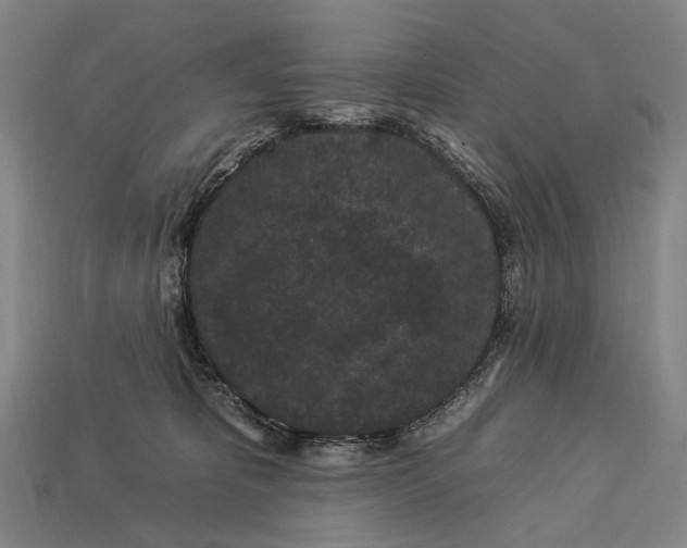 X0000112930325200909071039