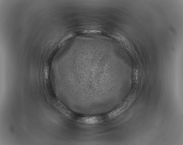 X0000112930326200909071039