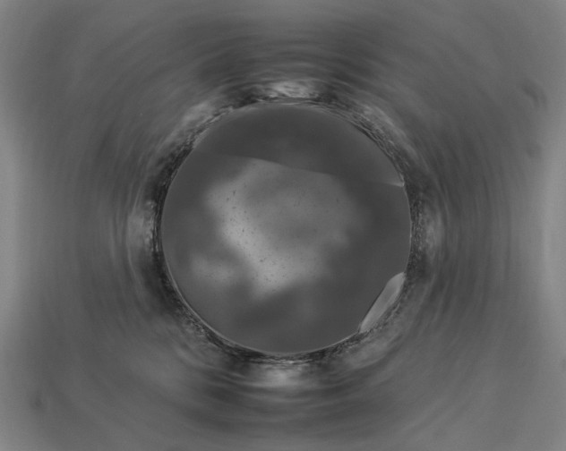 X0000112930328200909071039