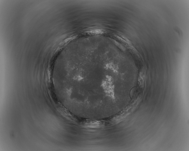 X0000112930330200909071039