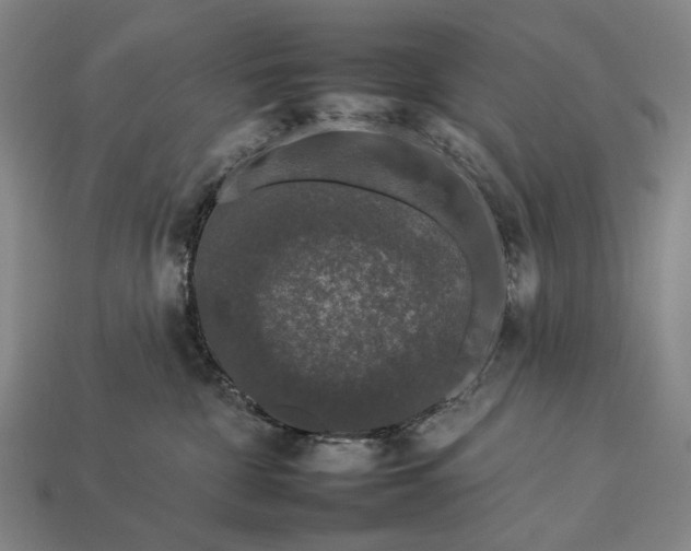 X0000112930332200909071039