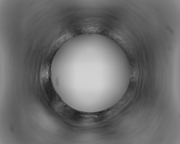 X0000112930334200909071039