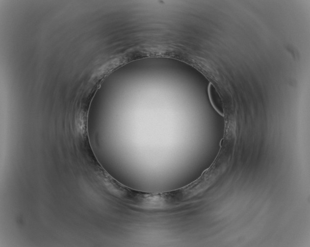 X0000112930335200909071039