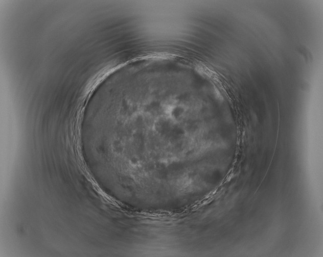 X0000112930337200909071038