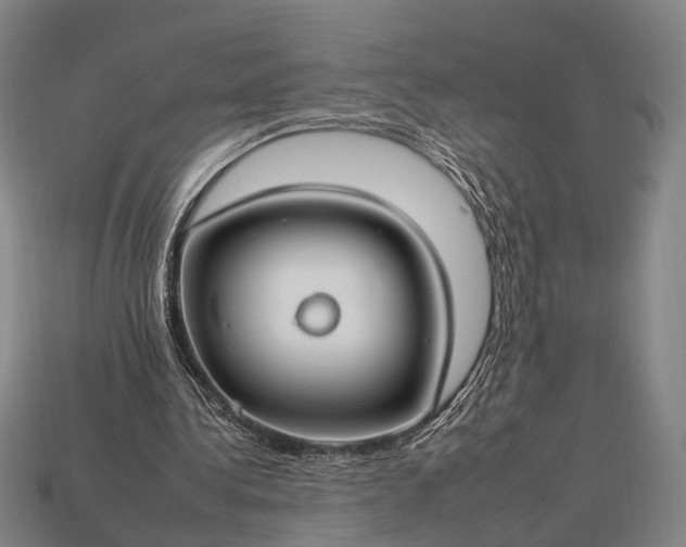 X0000112930340200909071038