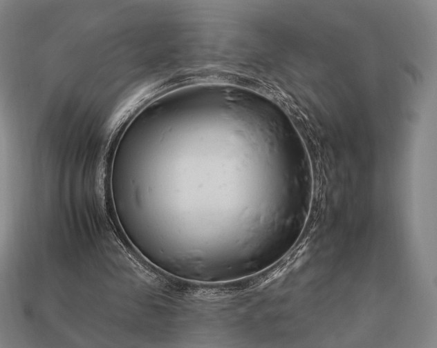 X0000112930341200909071038