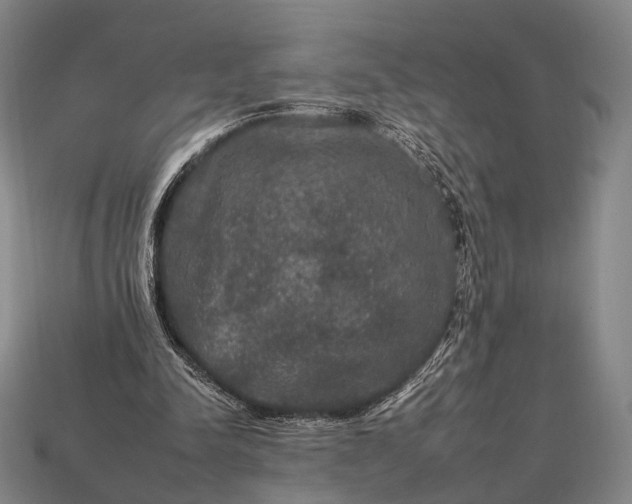 X0000112930342200909071038