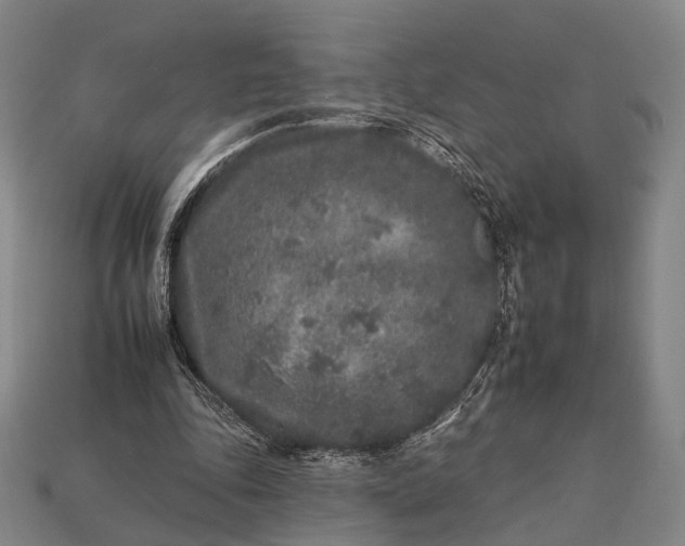 X0000112930343200909071038