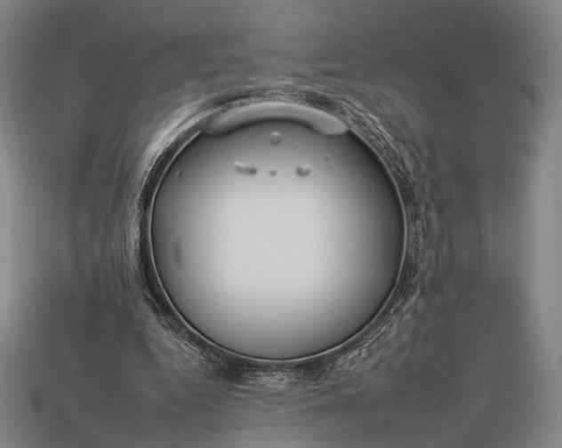 X0000112930344200909071038