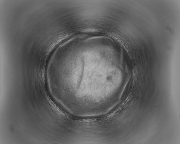 X0000112930345200909071038