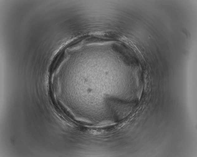 X0000112930346200909071038