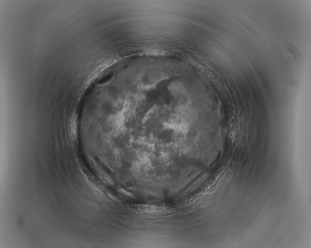 X0000112930347200909071038