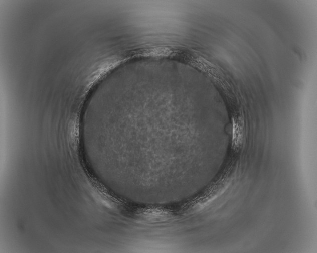 X0000112930348200909071038