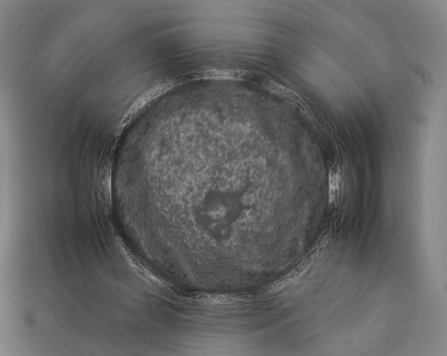 X0000112930349200909071038