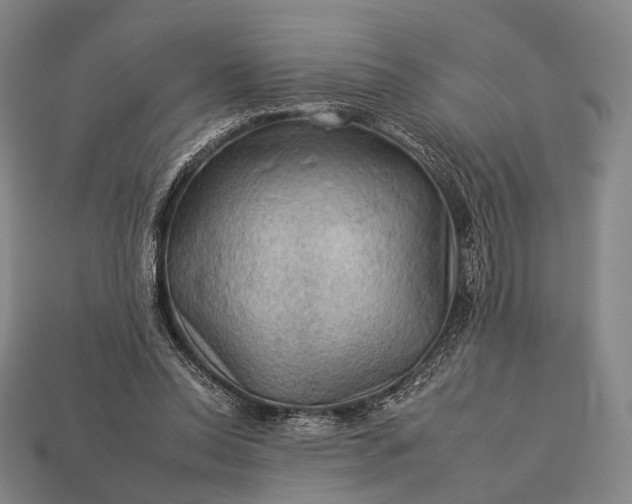 X0000112930350200909071038