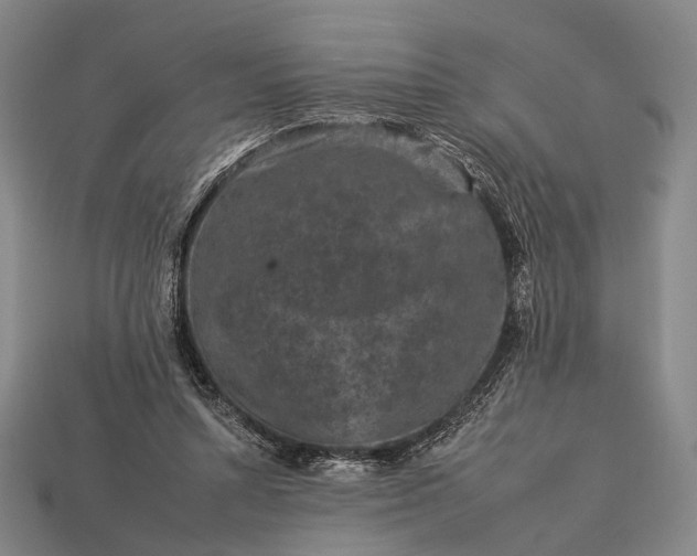 X0000112930352200909071038