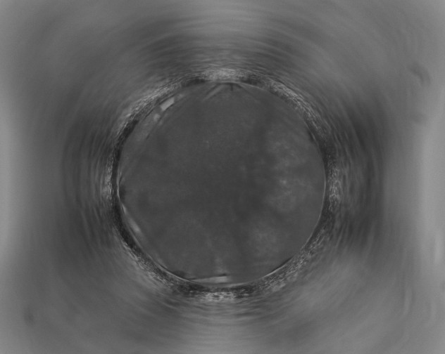 X0000112930353200909071038