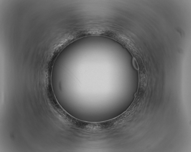 X0000112930354200909071038