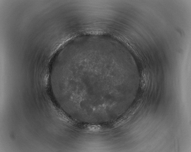 X0000112930355200909071038