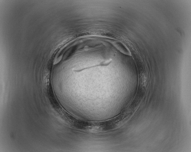 X0000112930356200909071038