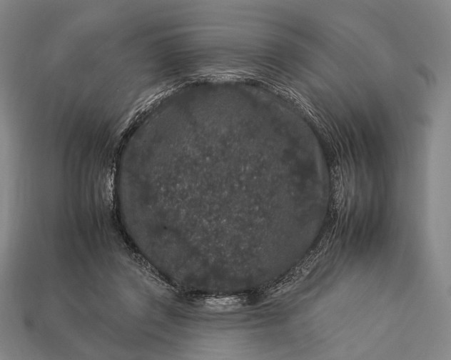 X0000112930357200909071038