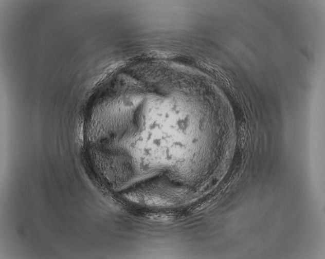 X0000112930358200909071038