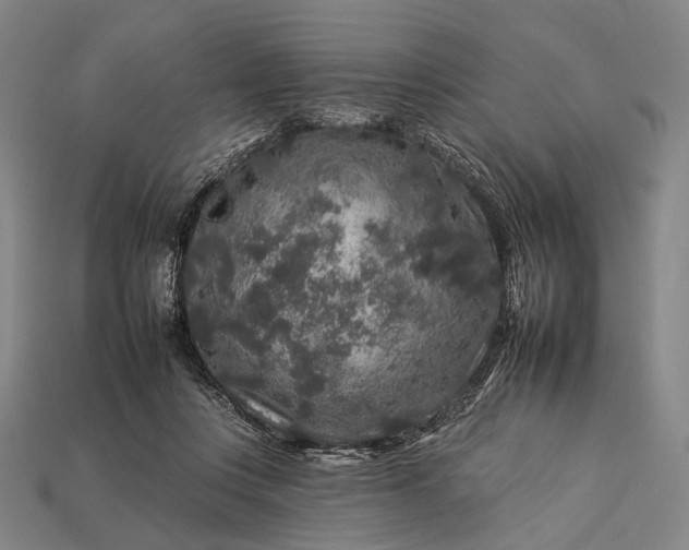 X0000112930359200909071038