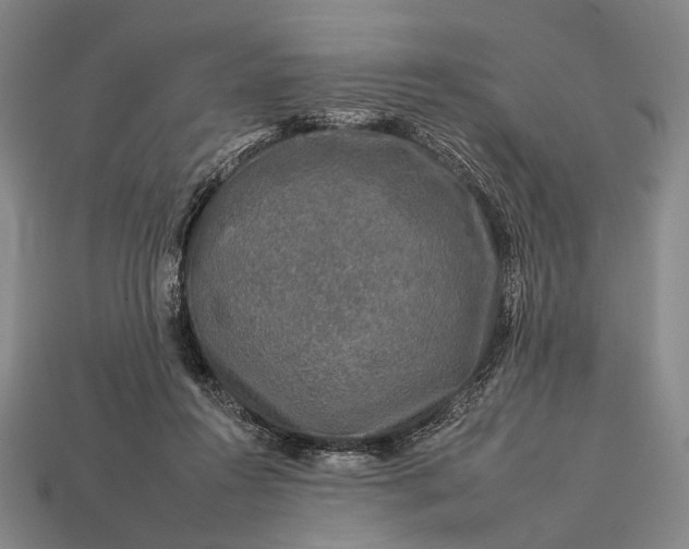 X0000112930360200909071038