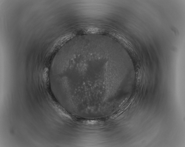 X0000112930361200909071038