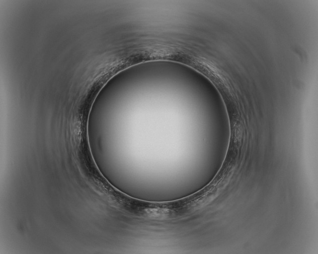 X0000112930362200909071038