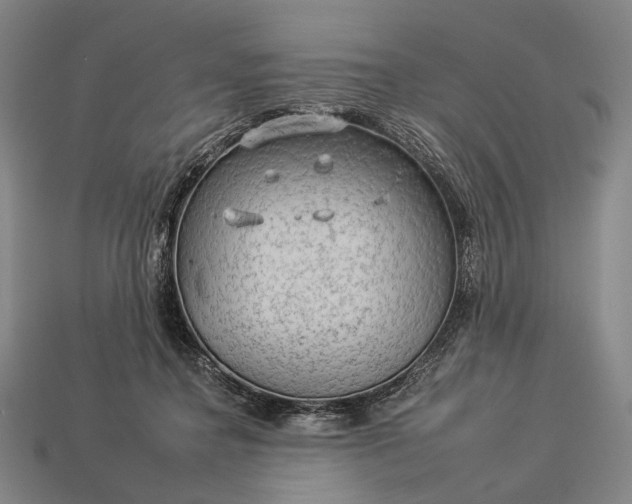 X0000112930364200909071038