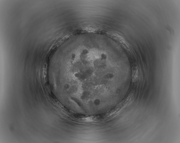 X0000112930365200909071038