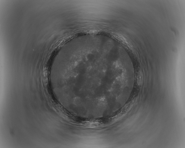 X0000112930366200909071038