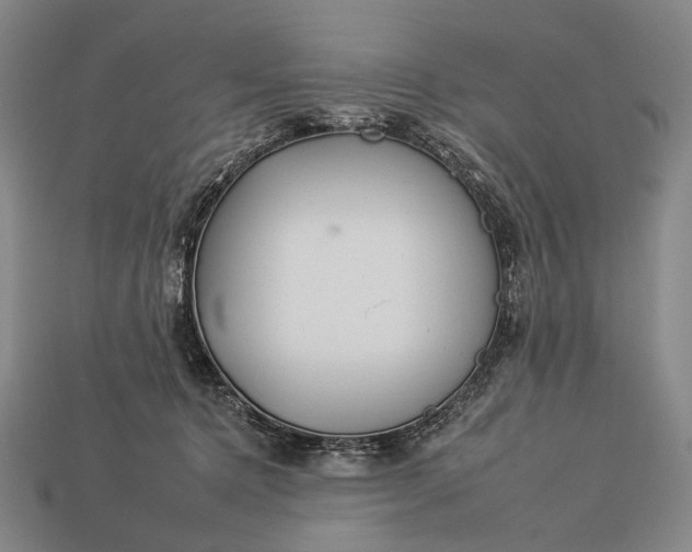 X0000112930368200909071038