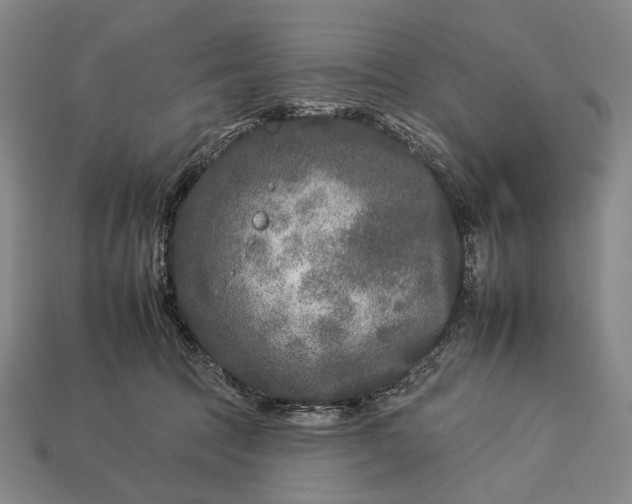 X0000112930369200909071038