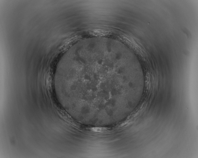 X0000112930371200909071038