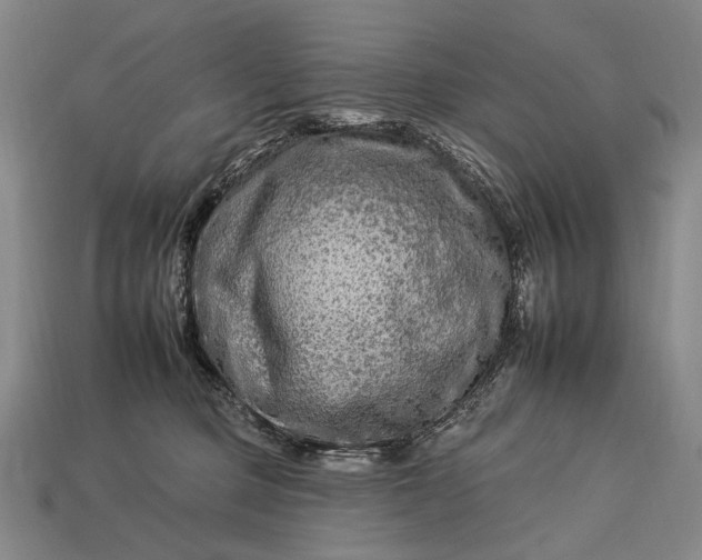 X0000112930373200909071038