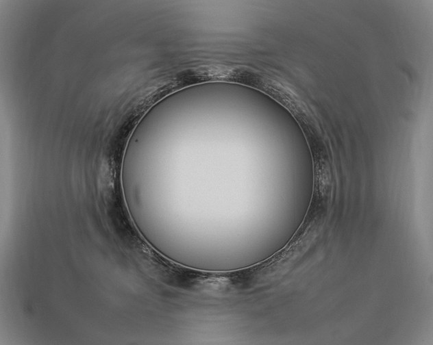 X0000112930374200909071038