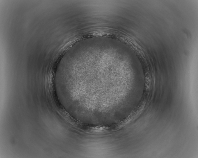 X0000112930375200909071038