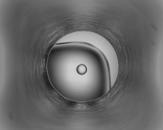 X0000112930376200909071038