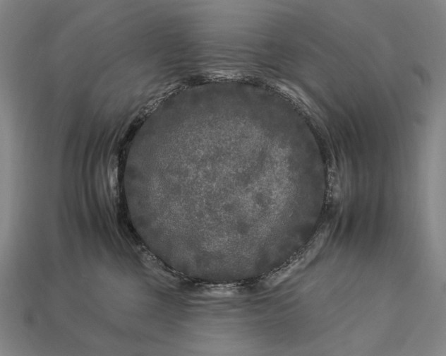 X0000112930377200909071038