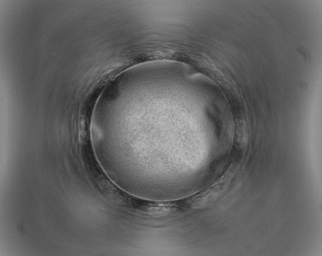 X0000112930378200909071038