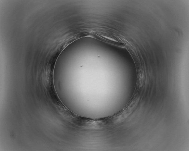 X0000112930379200909071038