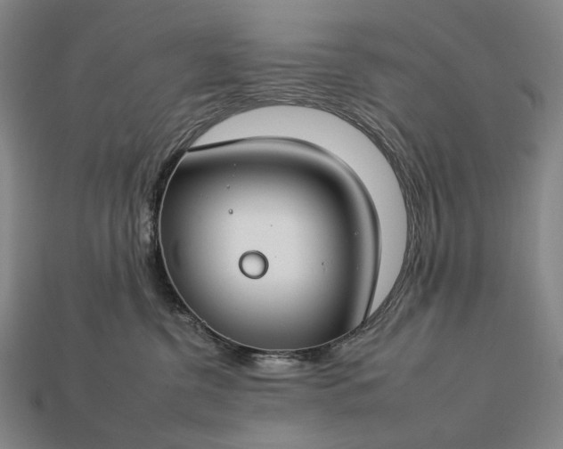 X0000112930380200909071038