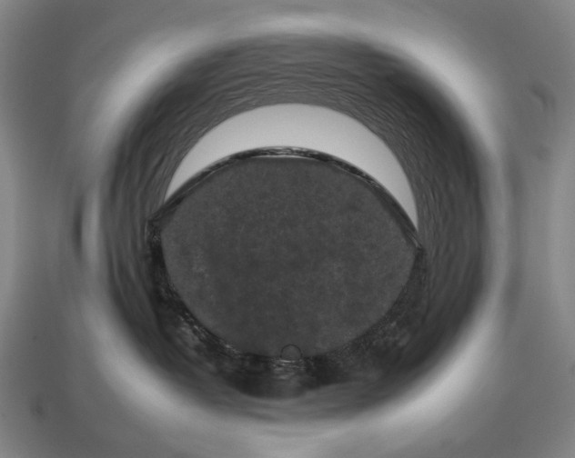 X0000112930382200909071039